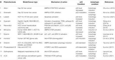 p53 Modulation of Autophagy Signaling in Cancer Therapies: Perspectives Mechanism and Therapeutic Targets